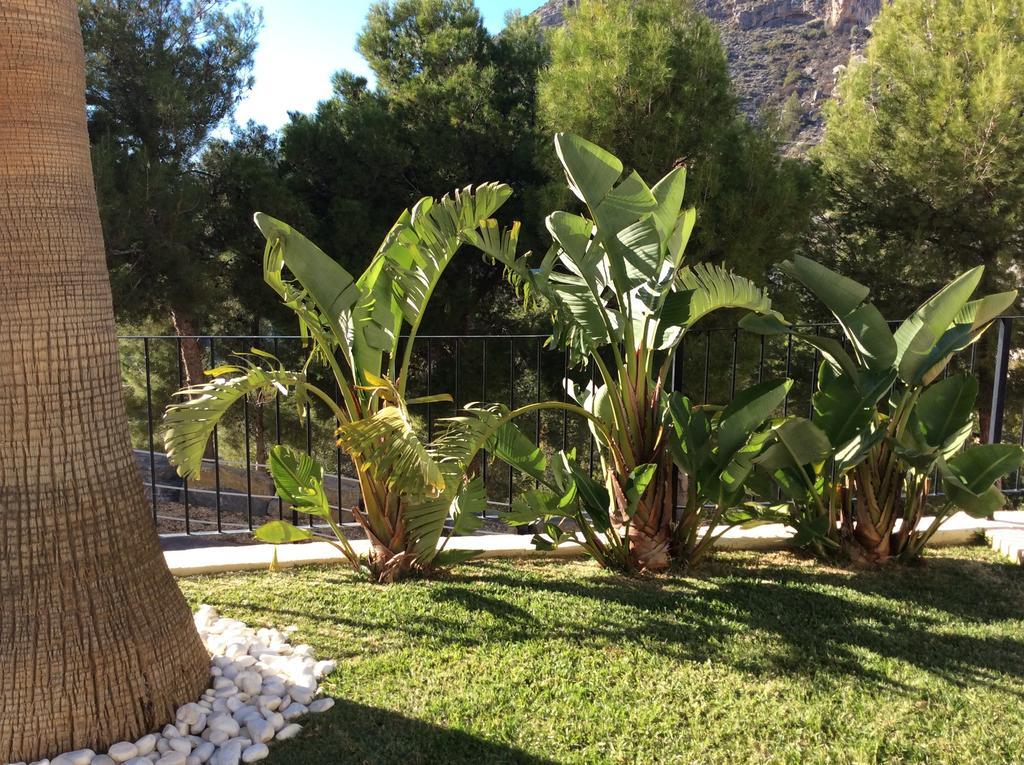Olivos Holiday Home Altea Bilik gambar